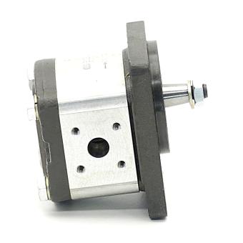 gear pump 