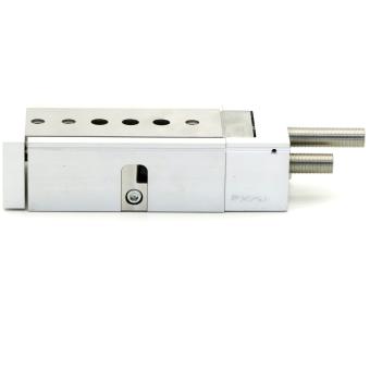 Mini-Schlitten DGSL-20-50-C-PA 