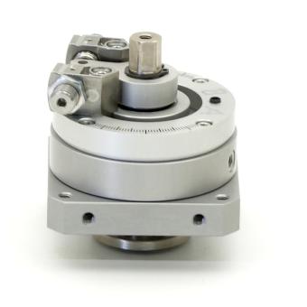 Schwenkantrieb DSM-25-270-P-FW-A-B 