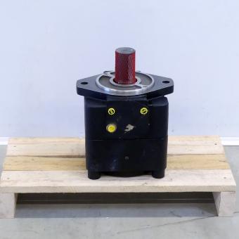 Hydraulic pump QT81-315R 