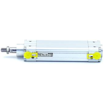 Pneumatic cylinder 