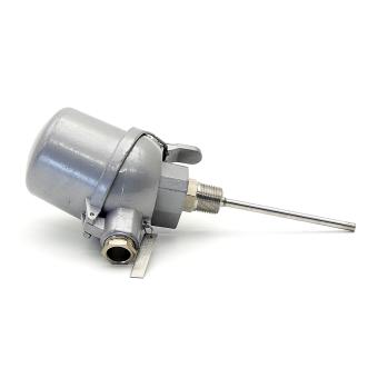 Temperature sensor RTD 2XPT100/A/3 