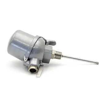 Temperature sensor RTD 2XPT100/A/3 