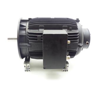 Three-phase Motor DH18-250-4-100 