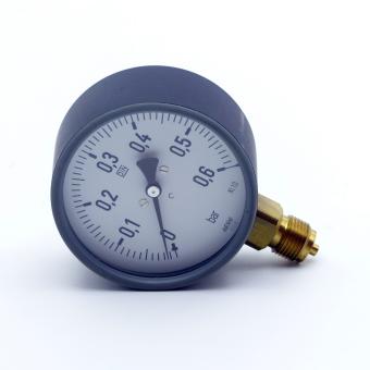 Pressure Gauge D100 