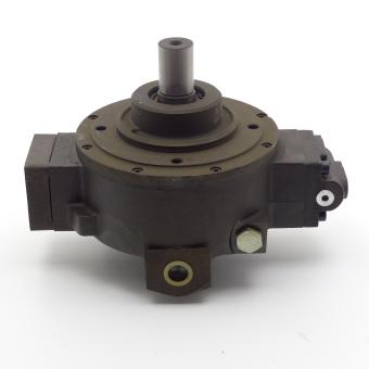 Radialkolbenpumpe 
