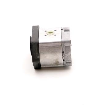 Gear Pump 1 517 222 522 