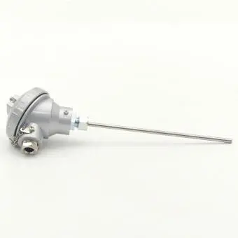 Widerstandsthermometer PT100 