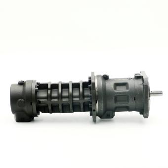 Screw spindle Pump 