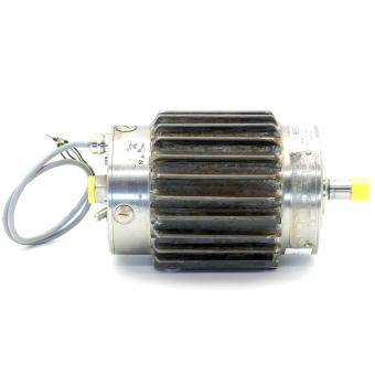 Elektrischer Drehantrieb 