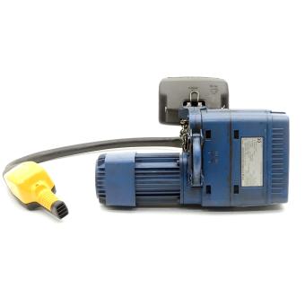 Chain hoist 100 kg 