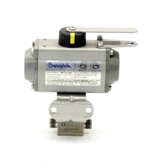 Pneumatic control head 
