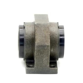 Lineal Ball Bearing 