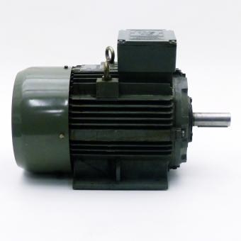 Three Phase Motor 