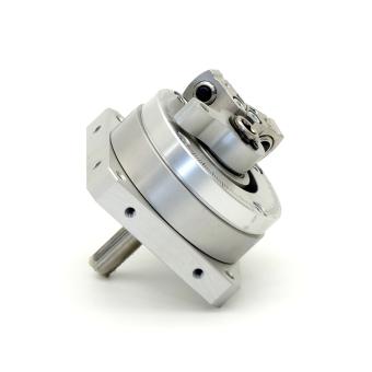Schwenkantrieb DSM-12-270-P-A-B 
