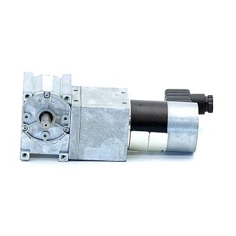 Gear motor 