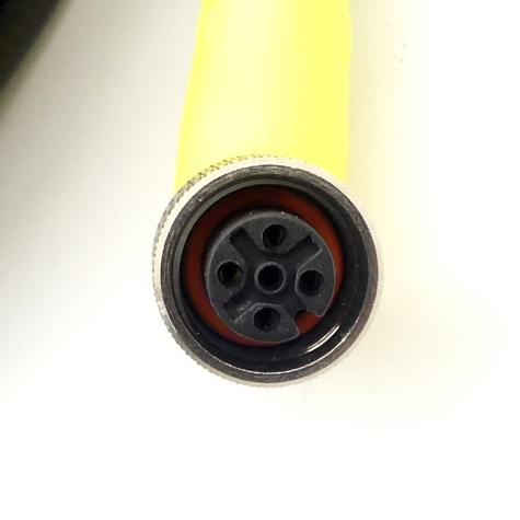 Cable  