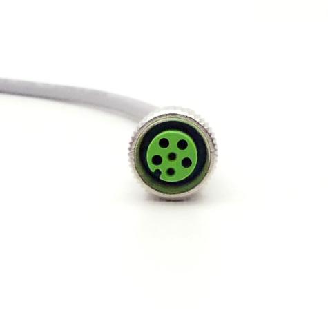 Cable  New FS