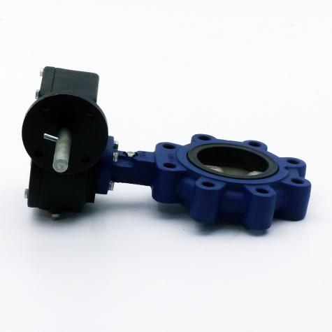 Butterfly valve  New