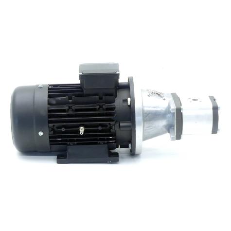 Gear pump with motor HMA2-90L-4  New