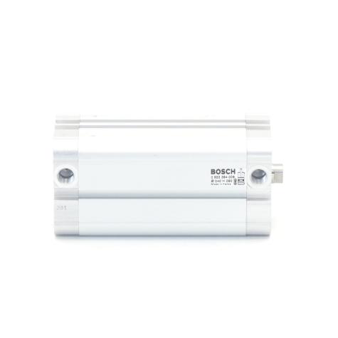 Pneumatic cylinder  