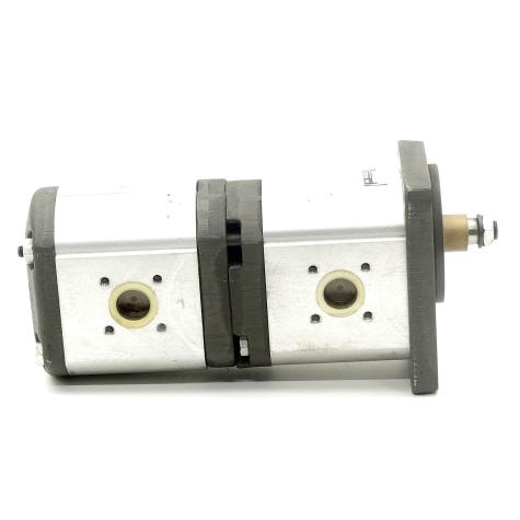 gear pump / double pump  New