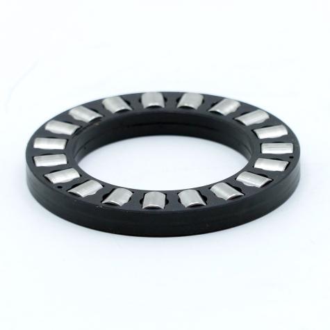 Axial cylindrical roller Bearing 02/T6 New