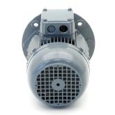 Three-phase Motor AM80KY4 Used