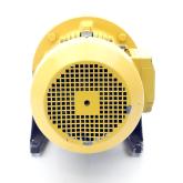 Screw spindle pump  Used
