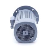Drehstrommotor IE2-WE1R 100 L 4 TPM140  Neu