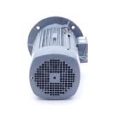Drehstrommotor IE2-WE1R 100 LX 4 TPM140  Neu