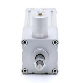 Pneumatic Cylinder 163462 New