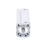 Pneumatic cylinder  