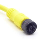 Cable  