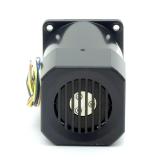 Speed Control Motor  New