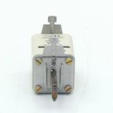 Sicherungseinsatz NH2-gG Neu