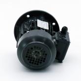 Three Phase Motors  New