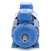 Three-phase motor MDFRA 100-31-AL New
