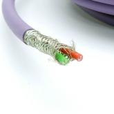 Bussystem-Kabel SAC-2P-5,0-910/M12FSB Neu OVP