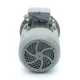 Engine 1AV3130B Used