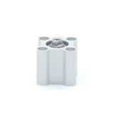 Short stroke cylinder 1020120472 New FS
