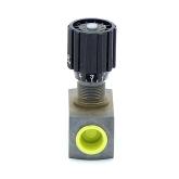 Throttle check valve  Used
