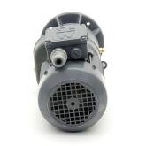 Gear motor RF40 DT71D4 Used