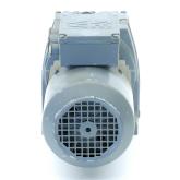 Gear motor  New