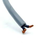 Proximity switch  