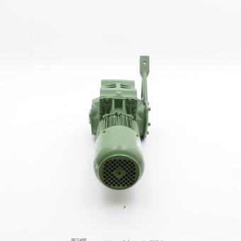 Getriebemotor BS30-54VL/D08LA4 