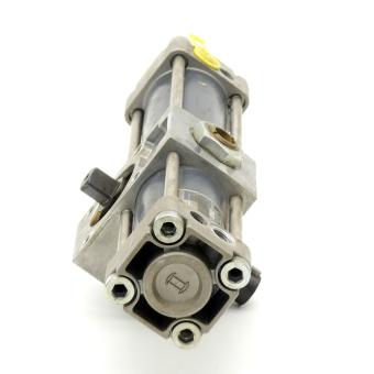 Swivel cylinder 