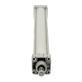 Pneumatic cylinder 