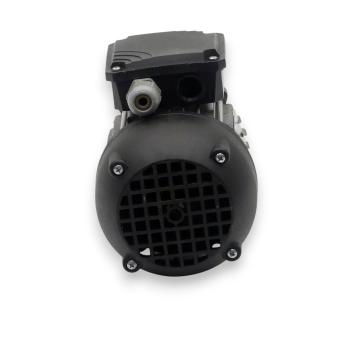 Three-phase motor IEC 60034 