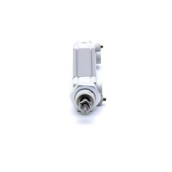 Pneumatic cylinder R480047846 